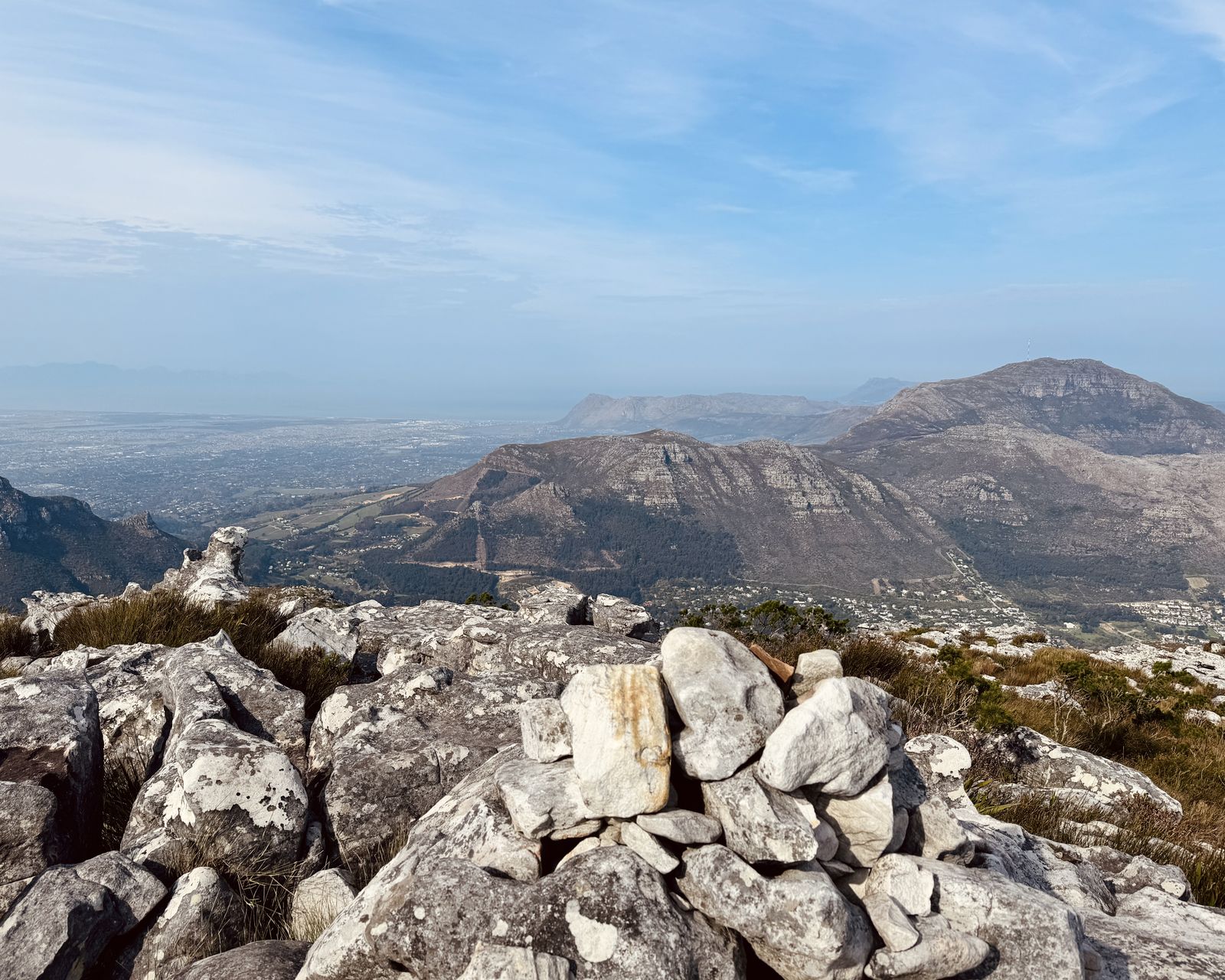 Grootkop