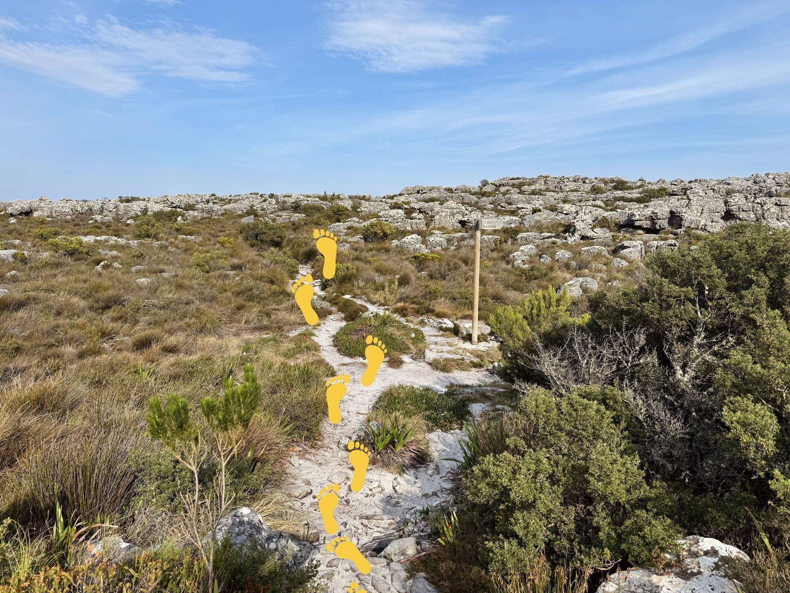 Twelve Apostles Path