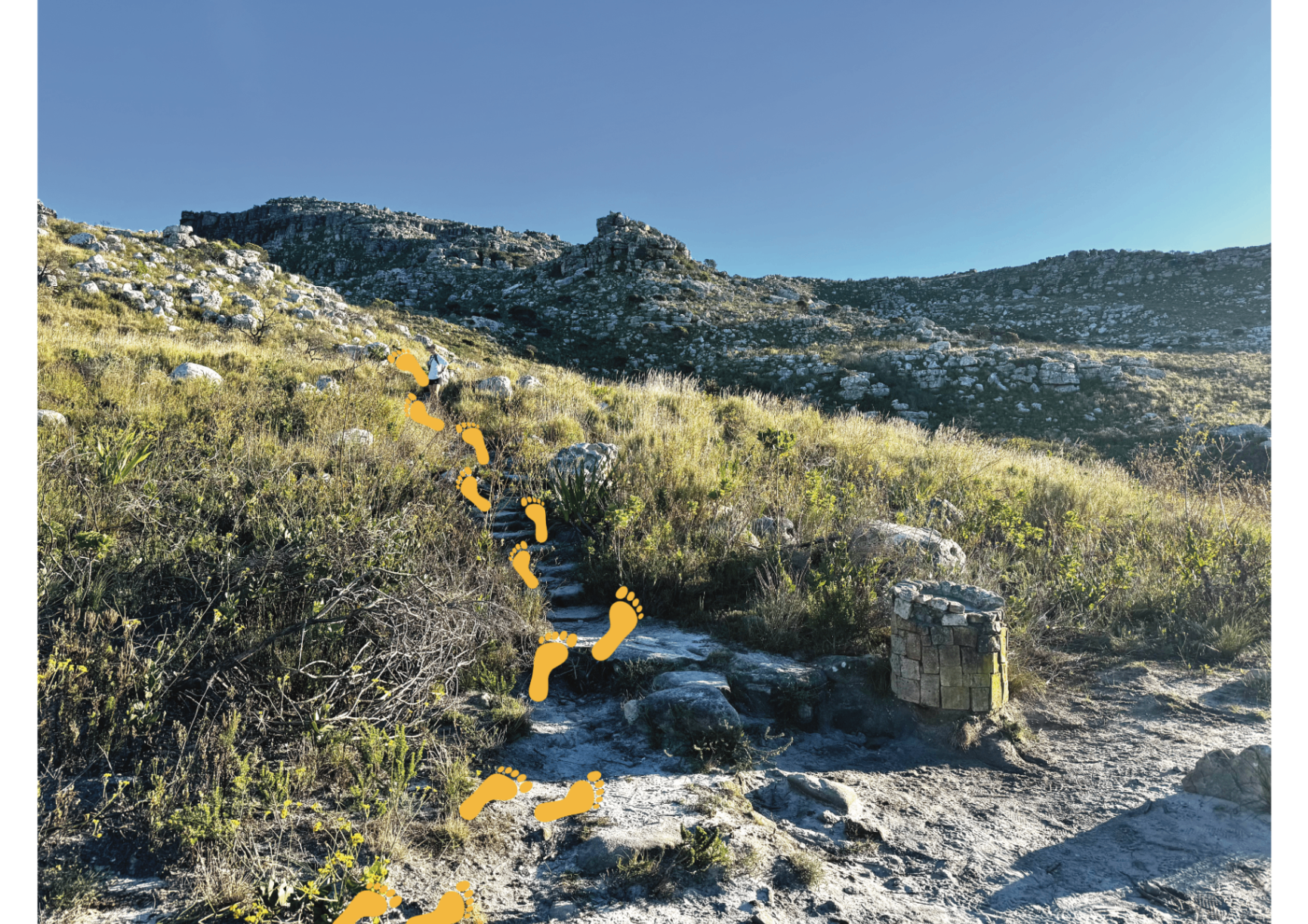 Magic Forest Turnoff