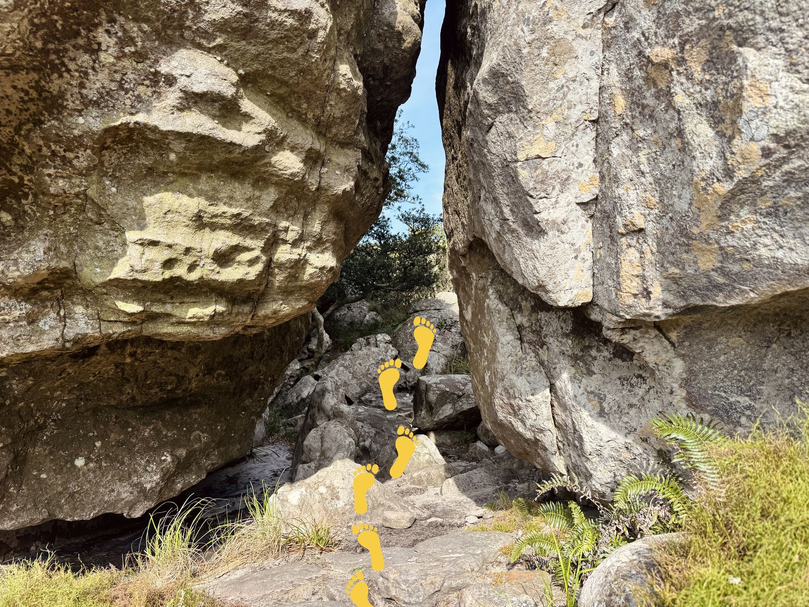 Rocky section