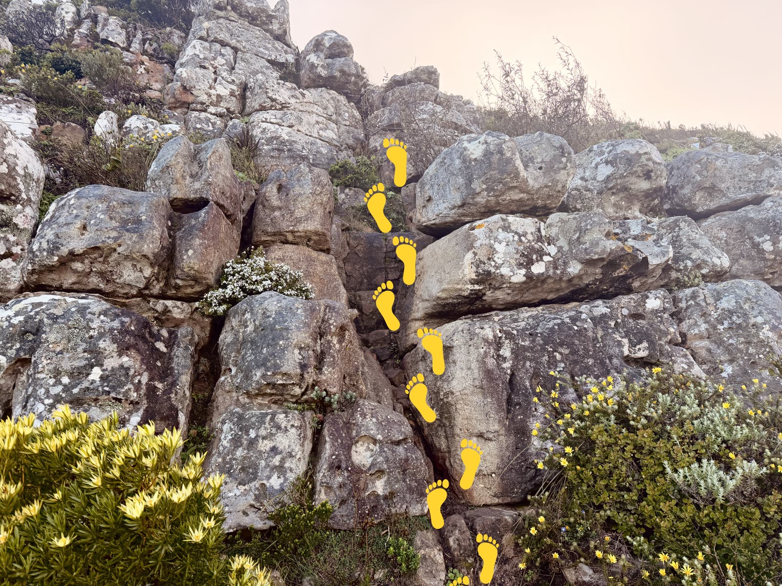 The scramble